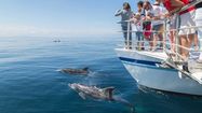 L'Atalaya, seul bateau labellisé Pavillon Bleu en France